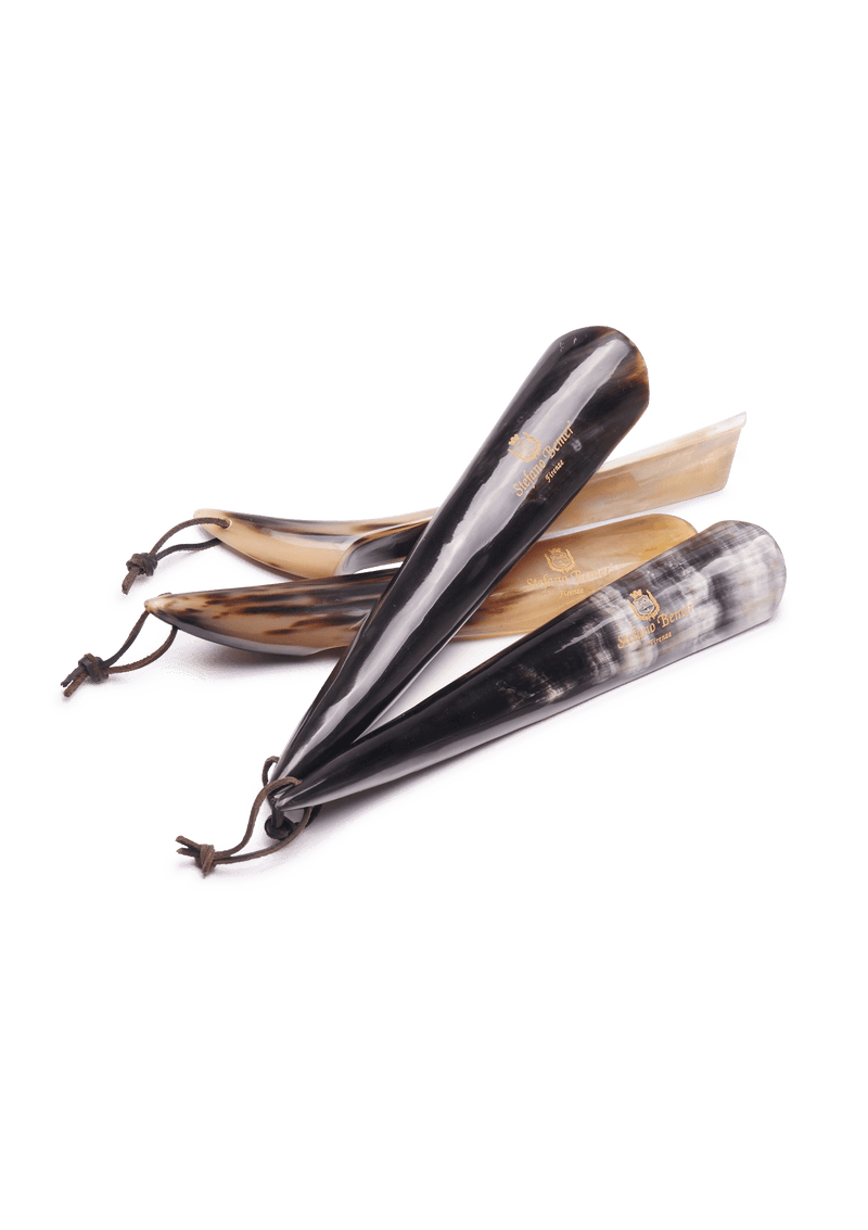 Shoe Horn