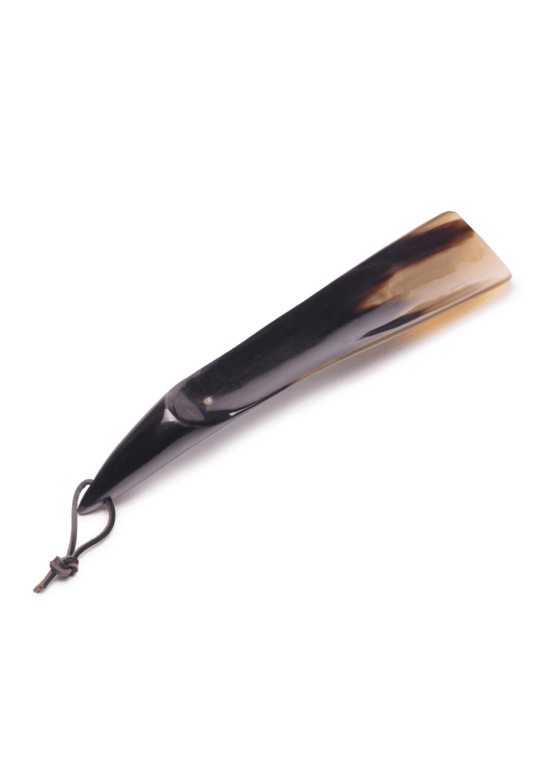 Shoe Horn