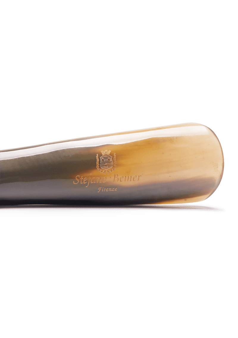 Shoe Horn
